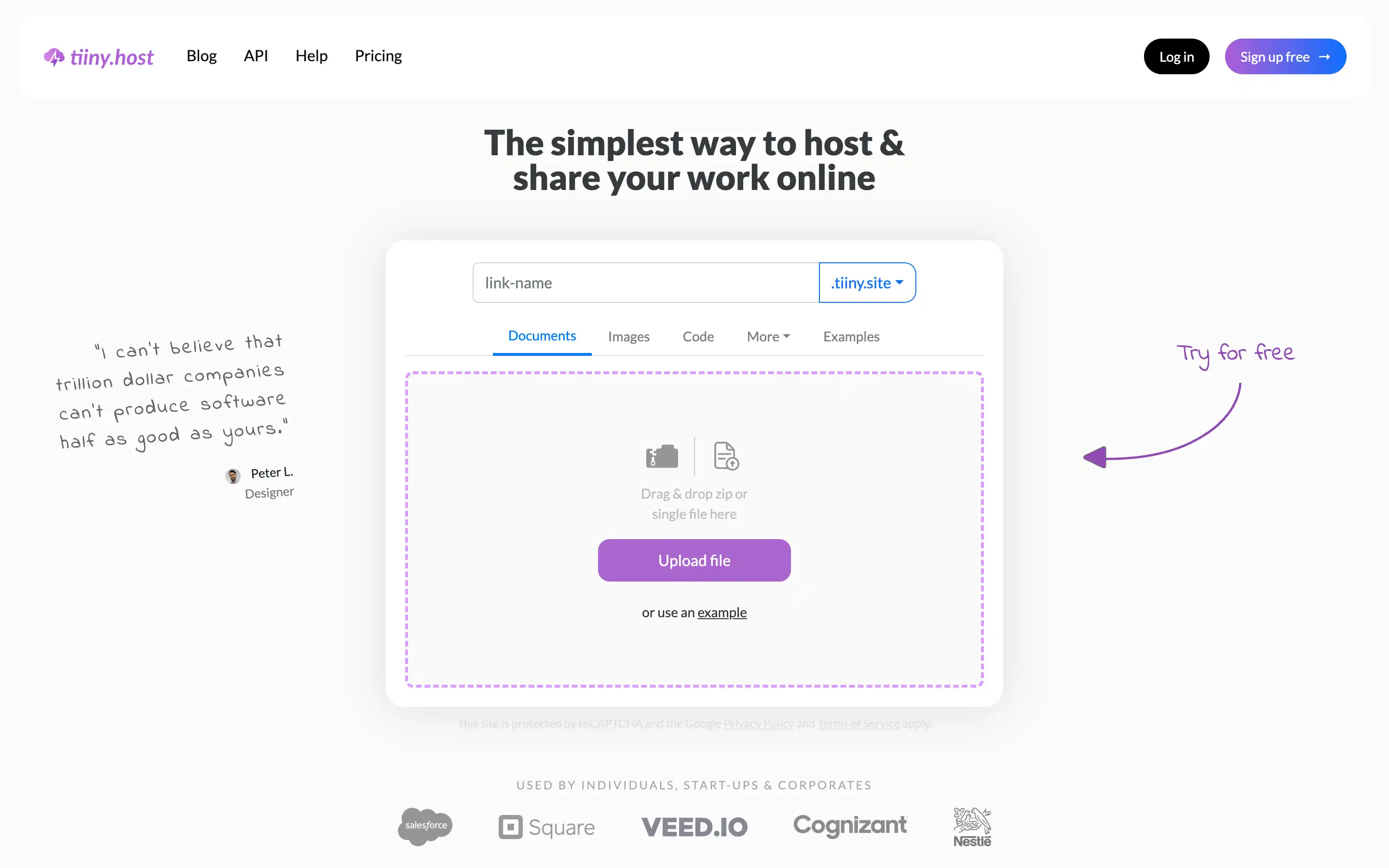Tiiny.host file upload interface for online hosting.