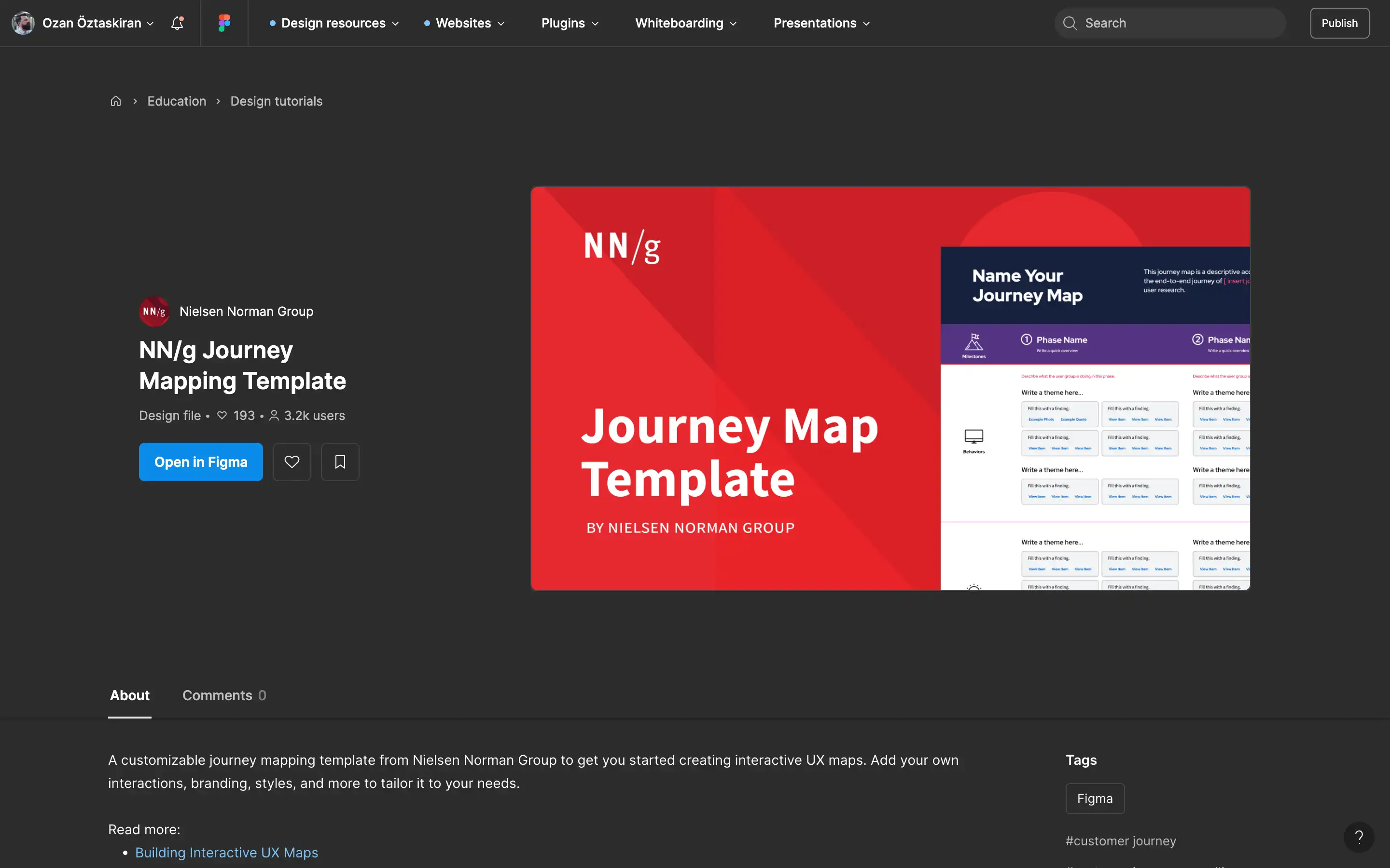 Journey Map Template by Nielsen Norman Group