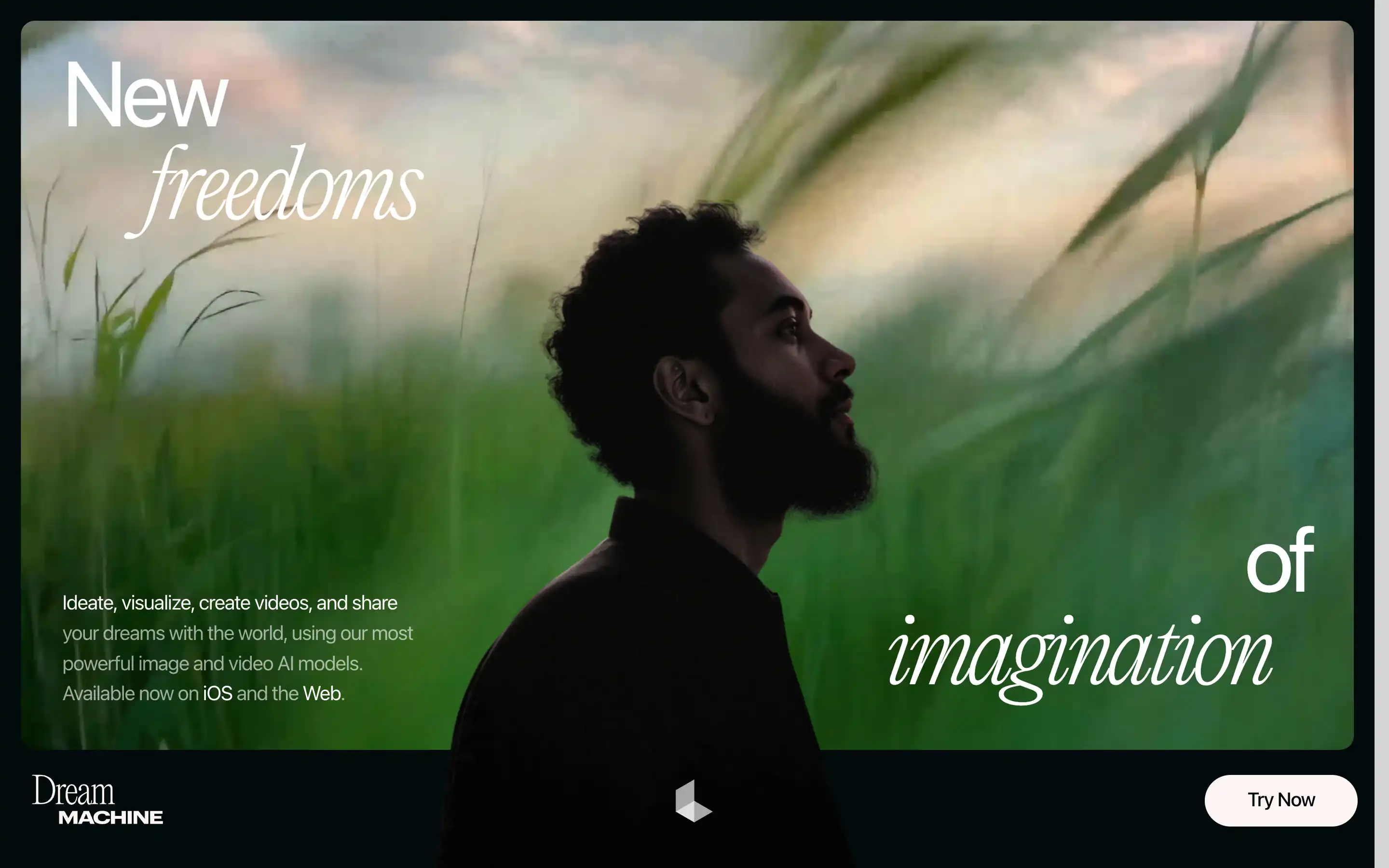 Silhouette of man in field with inspirational text.
