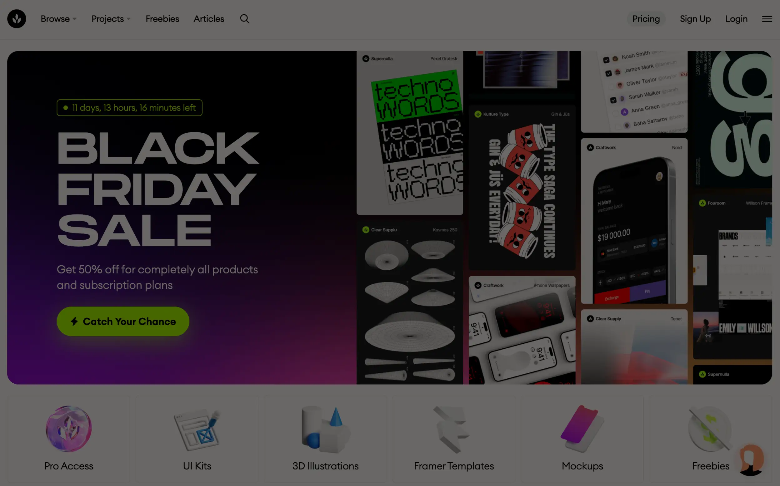 Website homepage advertising Black Friday Sale