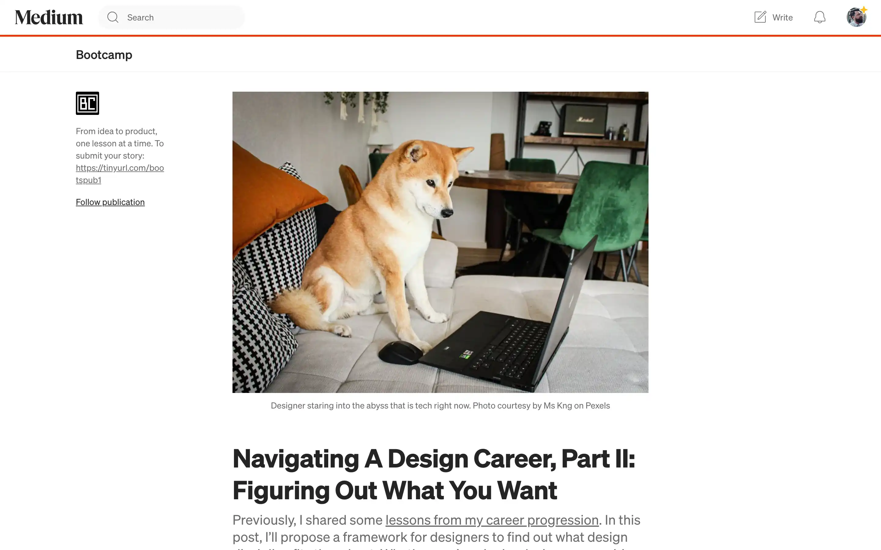 Shiba Inu dog using a laptop on a couch.