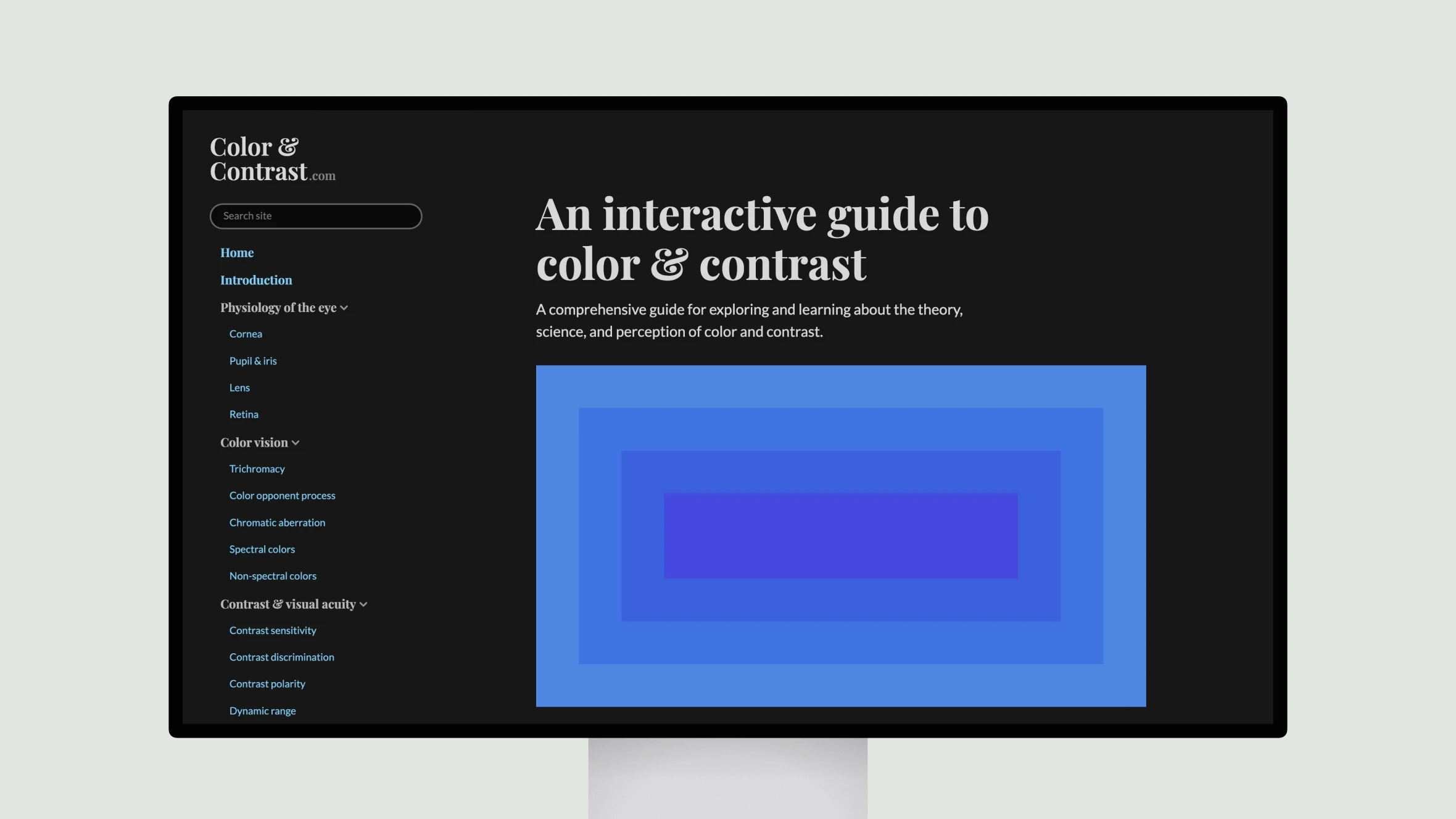 Interactive guide on color and contrast principles.