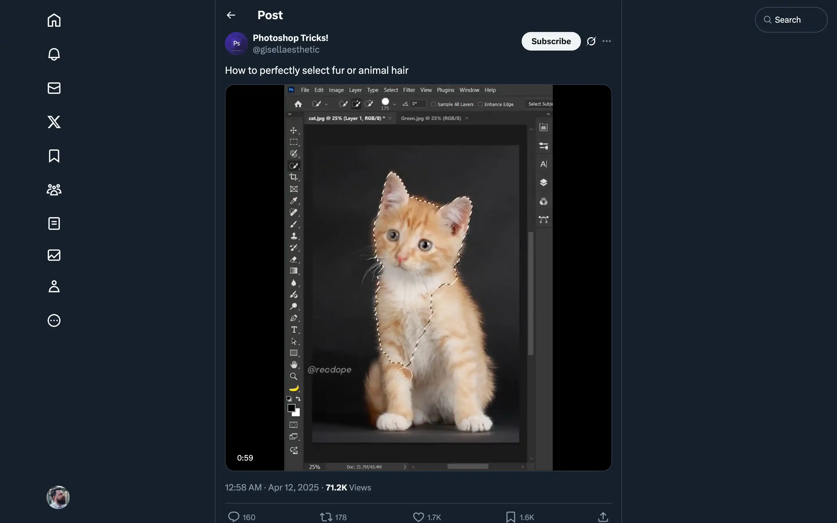 Photoshop fur selection tutorial with kitten image.